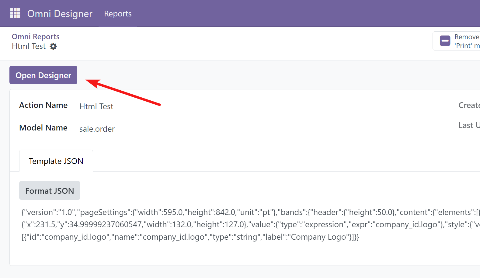 The 'Open Designer' button on the report form